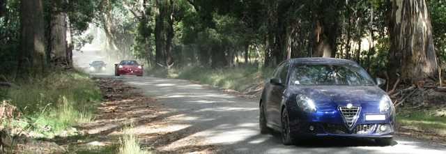 Alfas on a dusty road
